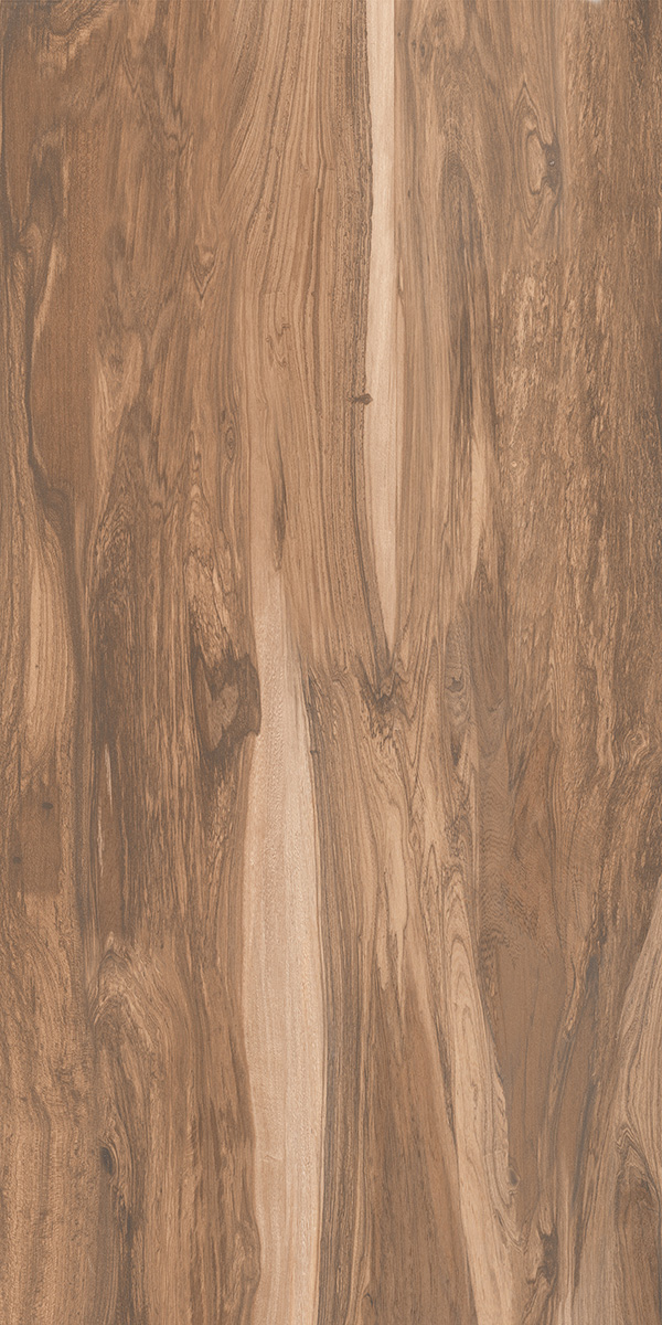 60X120 BRIZO HAZELNUT HDR WOOD