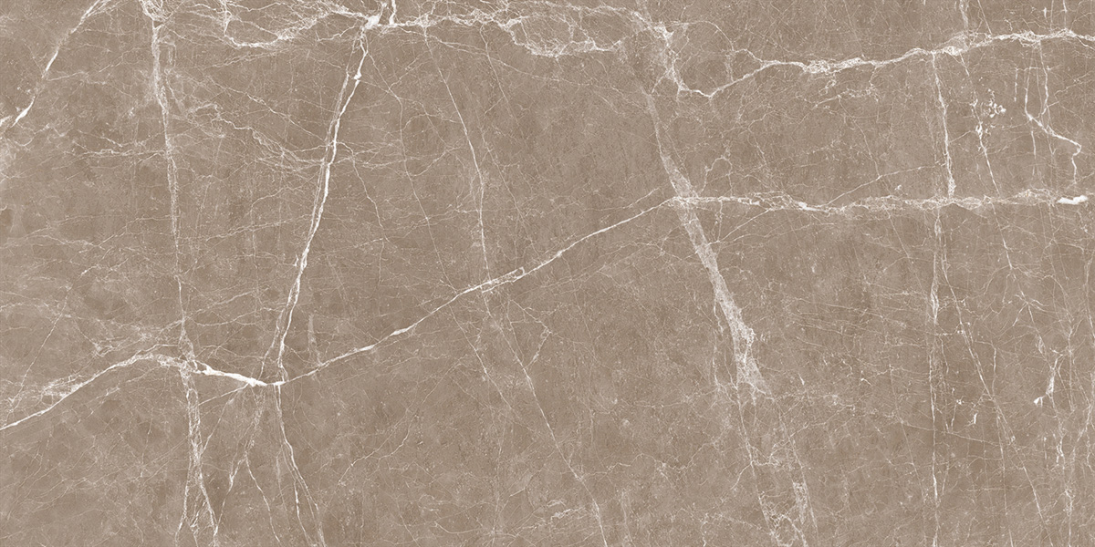 80X160 TERRE TAUPE FULL LAPPATO 